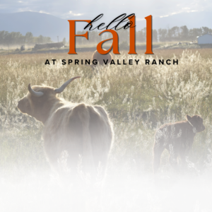 Hello, Fall